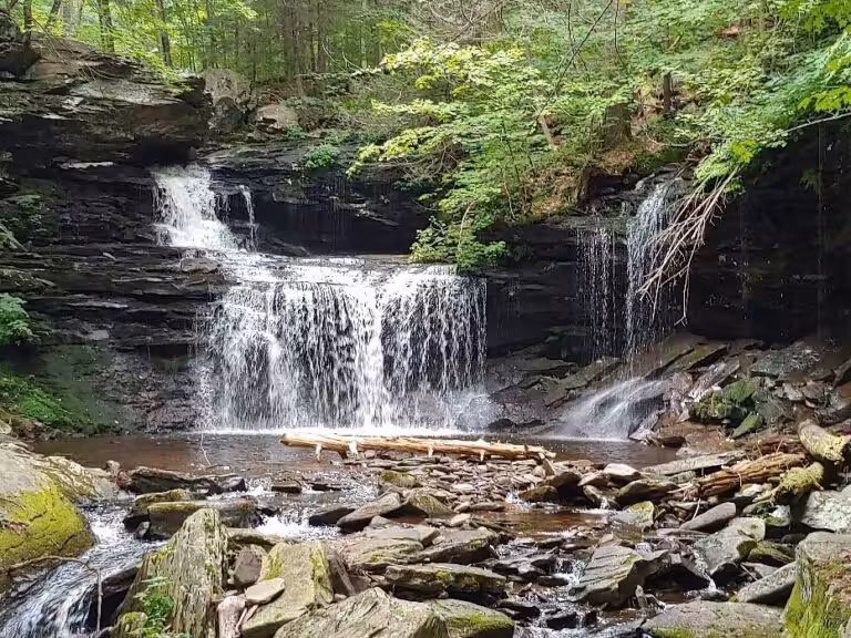 Ricketts Glen State Park