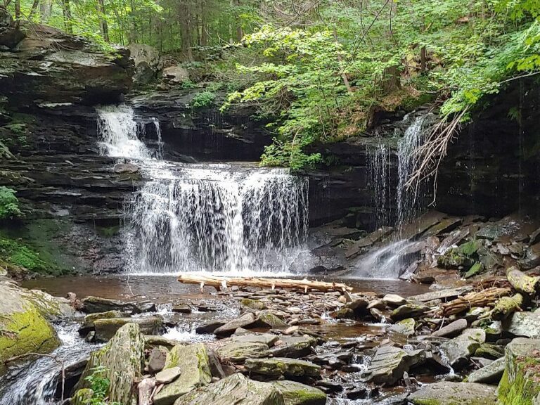 Ricketts Glen State Park
