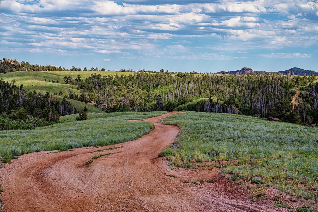 Tony Webster, CC BY 2.0 <https://creativecommons.org/licenses/by/2.0>, via Wikimedia Commons Eagle Rock Road - Dirt Road in the Medicine Bow-Routt National Forest - Wyoming
