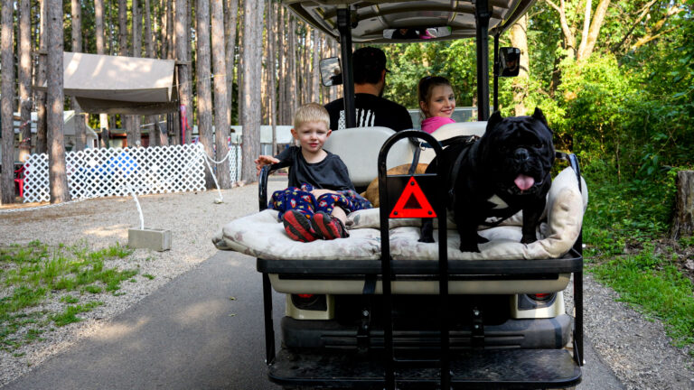 Benefits of Camping With Kids: What the Research Actually Shows