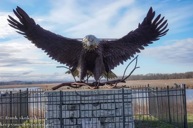 Montezuma National Wildlife Refuge