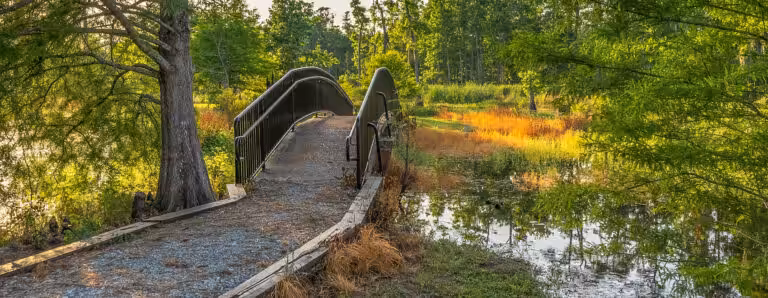 Sam Houston Jones State Park