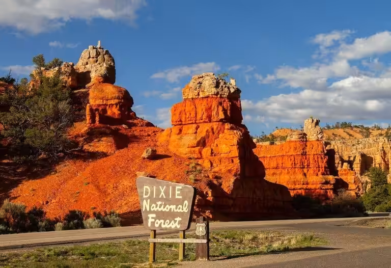 Dixie National Forest