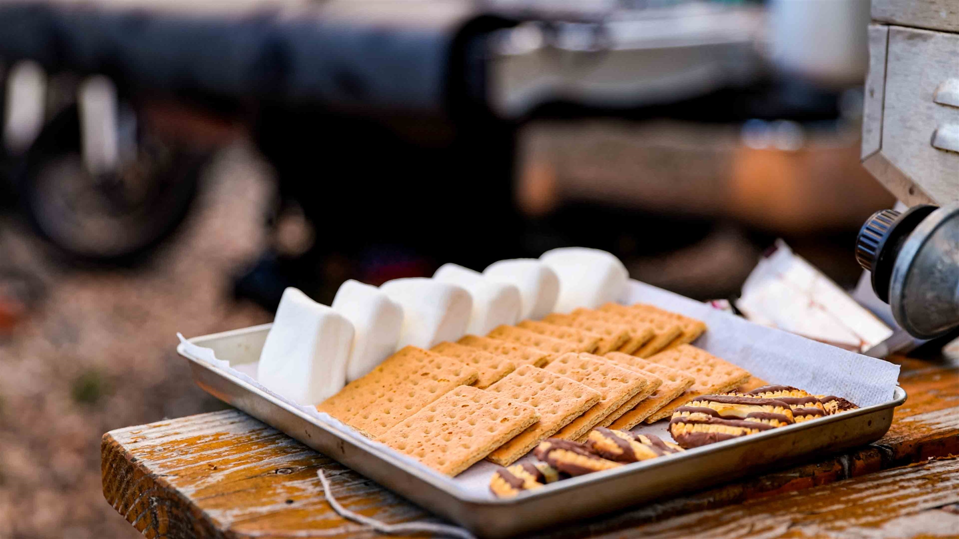 Pet-Friendly RV Parks Near Willis, TX