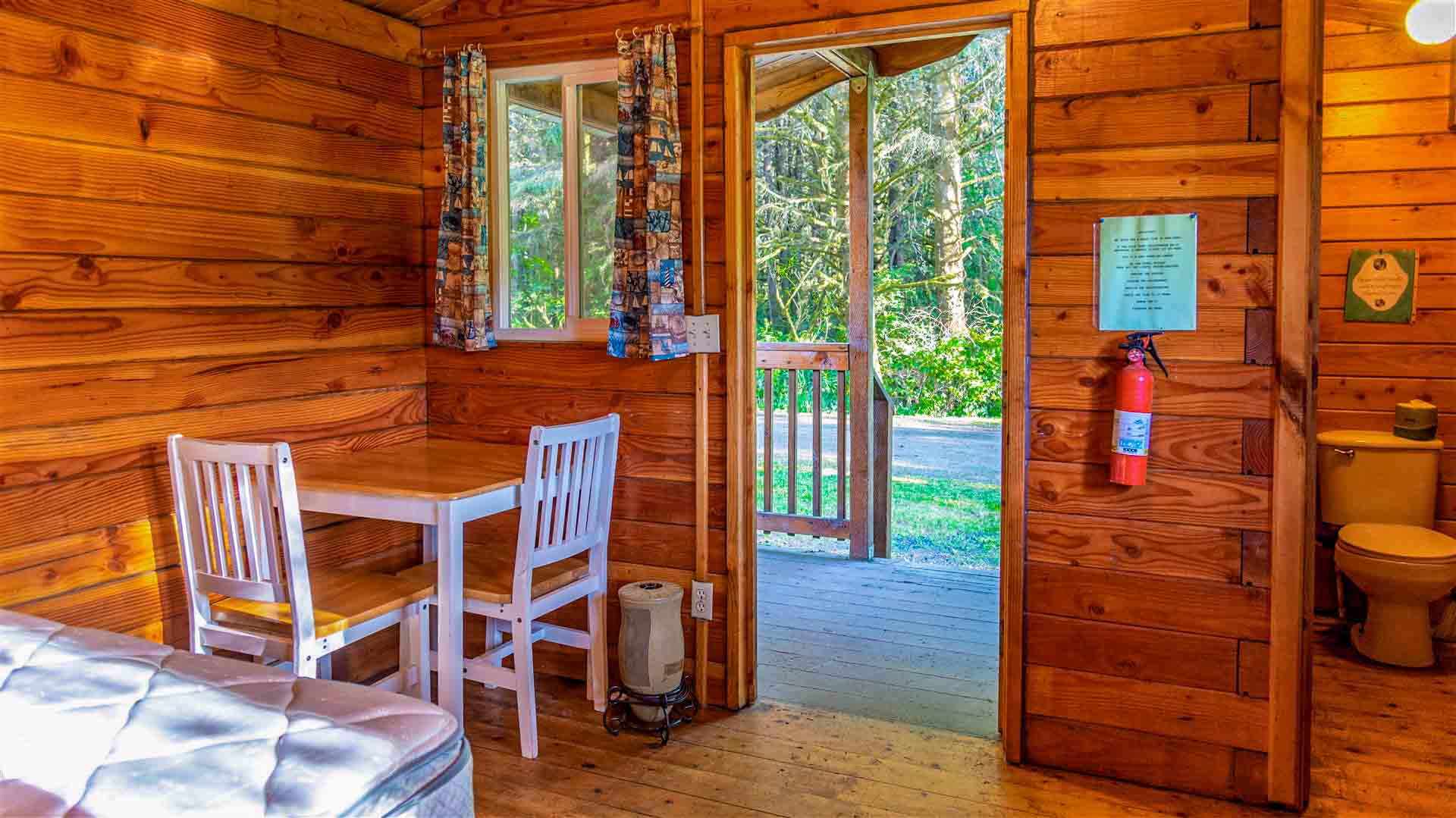 Best Hiking Trails Near Grayland, WA